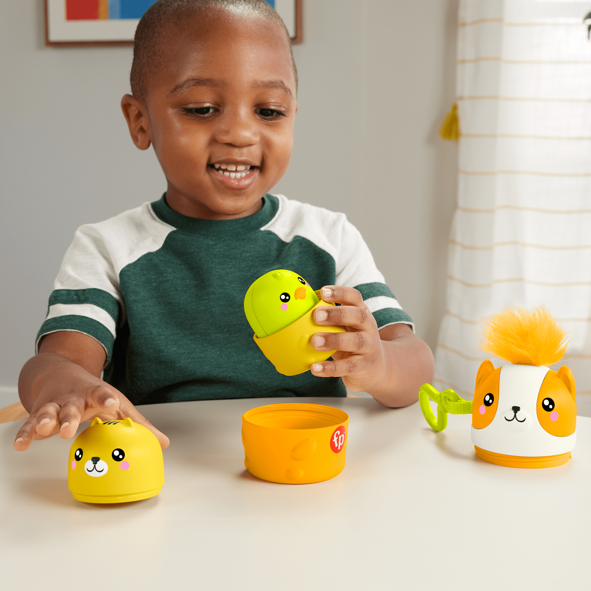 Fisher Price AKFPTD01ML toddler